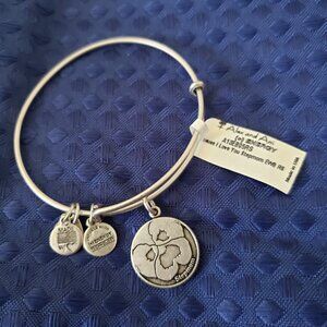 Alex And Ani Because I Love Stepmom Silver Bangle Kindness  A-278